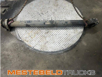 Drive shaft DAF