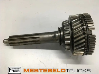 Gearbox and parts MAN