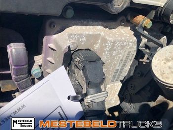 Electrical system MAN