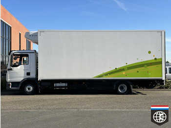Refrigerator truck MAN TGL 8 180 - THERMOKING - THEO MULDER FLOWER TRUCK: picture 3