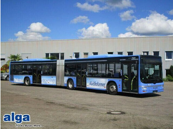 Articulated bus MAN Lion's City A23
