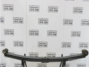 Steel suspension DAF