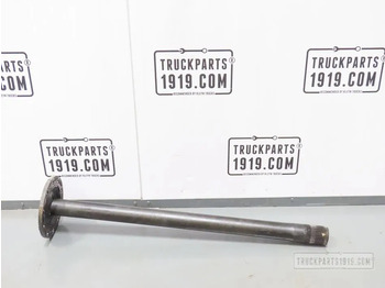 Drive shaft DAF