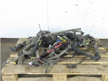 Cables/ Wire harness DAF