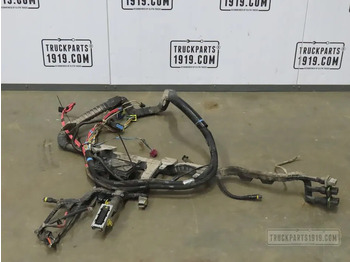 Cables/ Wire harness DAF