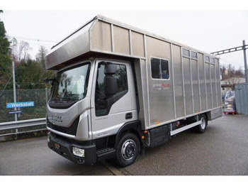 Livestock truck IVECO EuroCargo