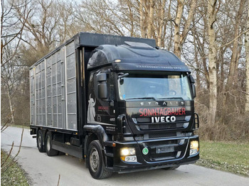 Livestock truck Iveco Stralis 260S45 - Animal transporter: picture 3 Livestock truck Iveco Stralis 260S45 - Animal transporter: picture 3