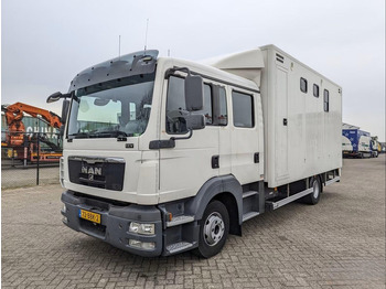 Horse truck MAN TGL 12.180