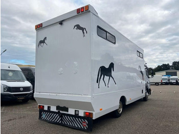 Mercedes-Benz Atego 823 - Horse transporter on lease Mercedes-Benz Atego 823 - Horse transporter: picture 3 Mercedes-Benz Atego 823 - Horse transporter on lease Mercedes-Benz Atego 823 - Horse transporter: picture 3