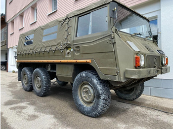 Truck STEYR