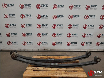 Steel suspension DAF