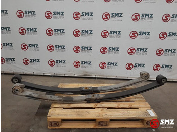 Steel suspension DAF