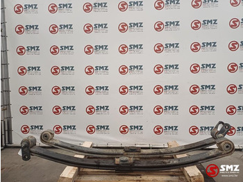 Steel suspension DAF