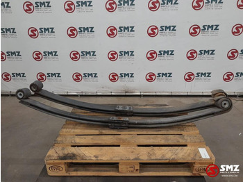 Steel suspension DAF