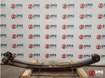 Steel suspension DAF