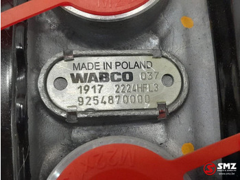 New Brake cylinder for Truck DAF Remcilinder DAF: picture 5