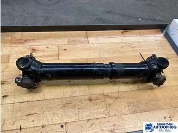 Differential gear SCANIA P