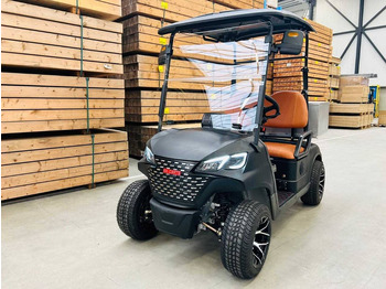 New Golf cart RTE: picture 5