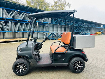 New Golf cart RTE: picture 2