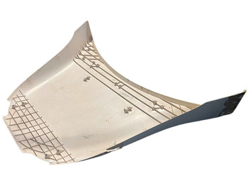 Aerodynamics/ Spoiler Renault: picture 2