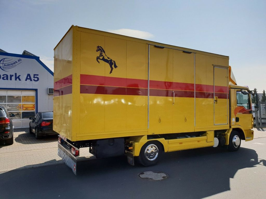 MAN TGL 10.180 Euro 4 Pferdetransporter Horse - Horse truck: picture 4 MAN TGL 10.180 Euro 4 Pferdetransporter Horse - Horse truck: picture 4