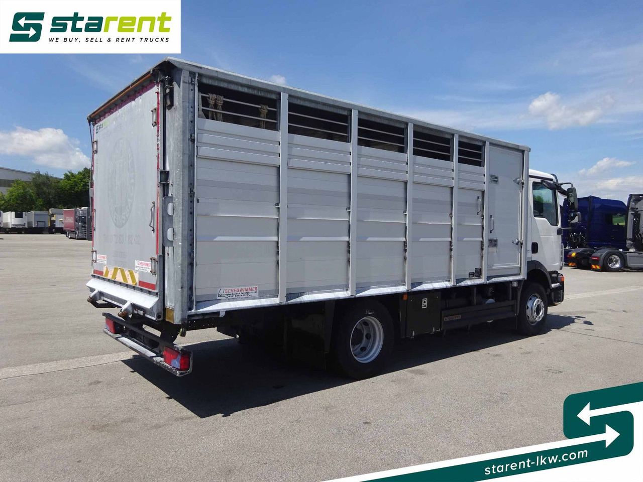 Horse truck MAN TGM 15.290 Viehtransporter, Scheuwimmer Aufbau: picture 5