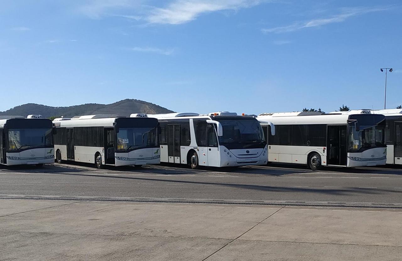 Solaris Urbino 15 - Airport bus: picture 2 Solaris Urbino 15 - Airport bus: picture 2