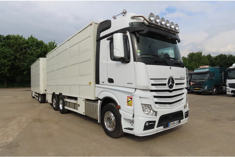 Mercedes-Benz Actros 2551 BERDEX 3 decks, All options + Berdex 12/ 2007 - Livestock truck: picture 1 Mercedes-Benz Actros 2551 BERDEX 3 decks, All options + Berdex 12/ 2007 - Livestock truck: picture 1
