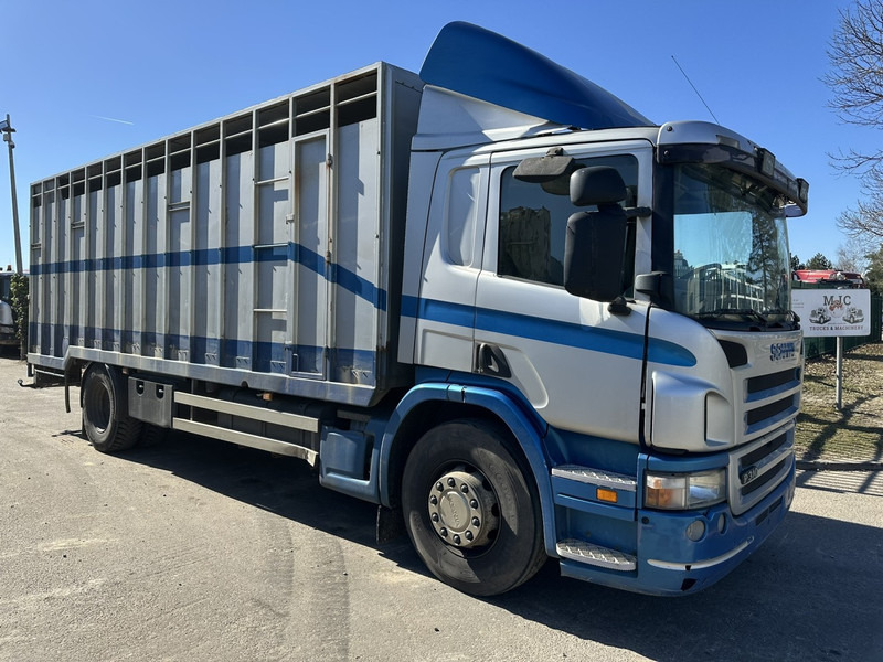 Scania P310 4x2 ANIMAL TRANSPORT - ALU BOX 7m - MANUAL - AIR SUSPENSION - A/C - BELGIAN TRUCK - Livestock truck: picture 1 Scania P310 4x2 ANIMAL TRANSPORT - ALU BOX 7m - MANUAL - AIR SUSPENSION - A/C - BELGIAN TRUCK - Livestock truck: picture 1
