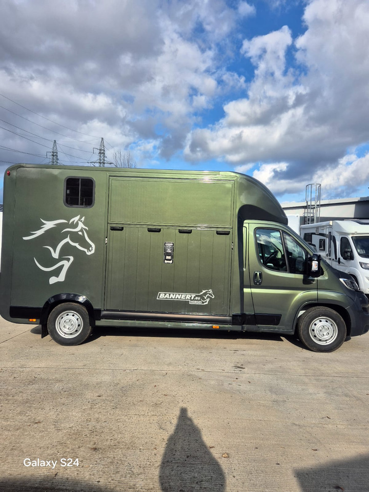 Opel Bannert Koniowoz / Horse Truck / In Stock - Horse truck: picture 4 Opel Bannert Koniowoz / Horse Truck / In Stock - Horse truck: picture 4