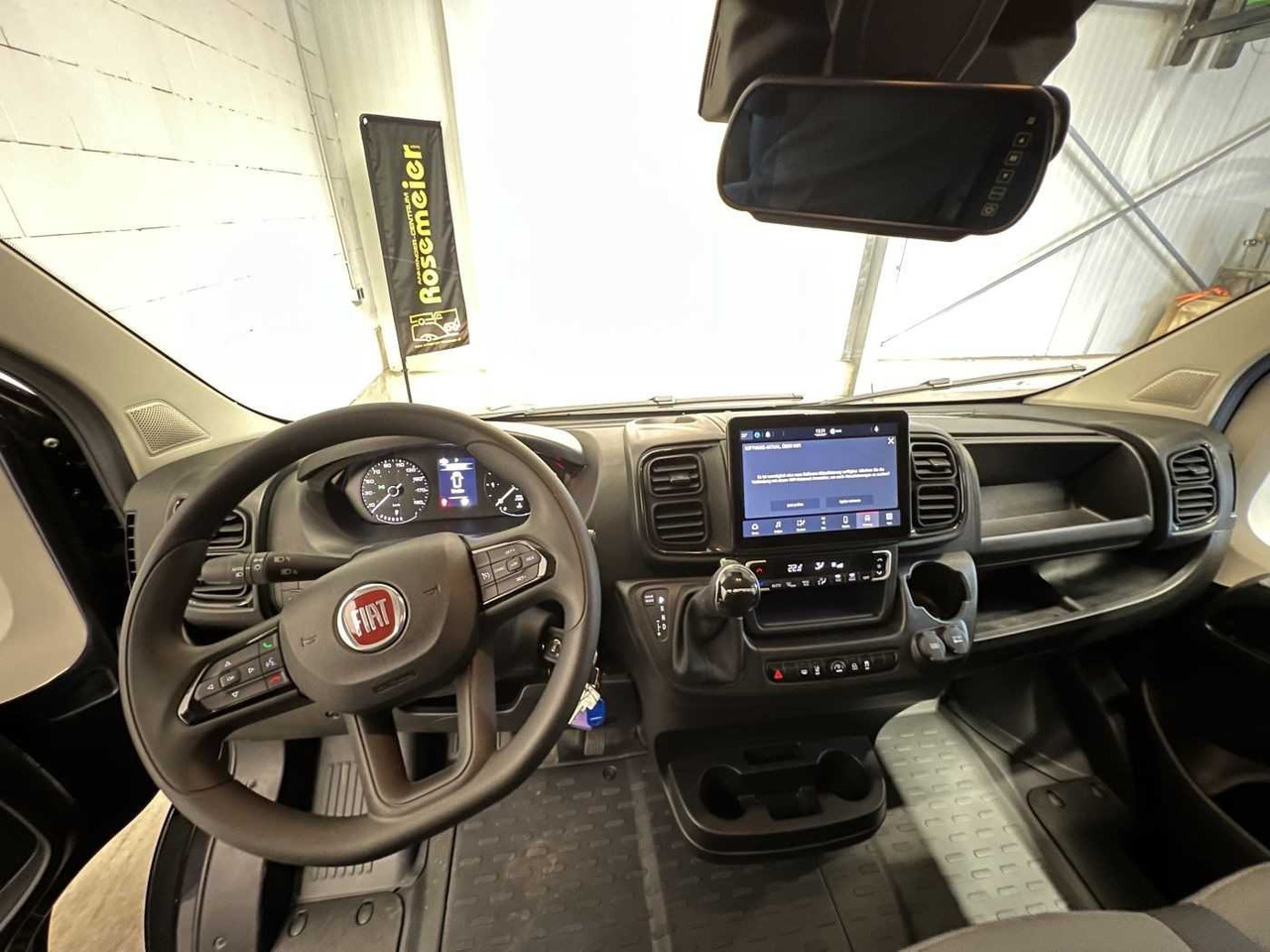 New Horse truck Fiat Böckmann Compact Stall LKW: picture 22