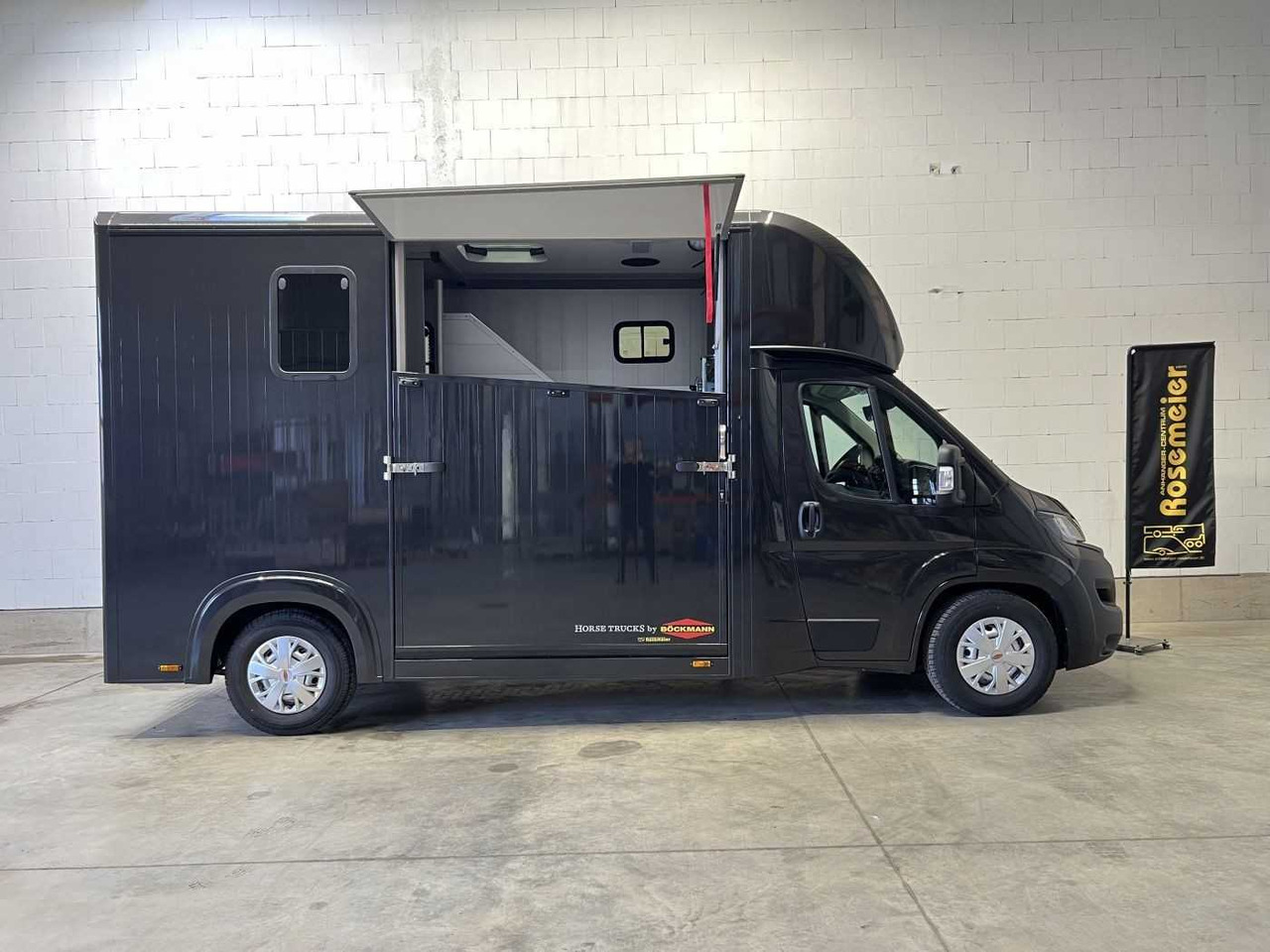 New Horse truck Fiat Böckmann Compact Stall LKW: picture 12