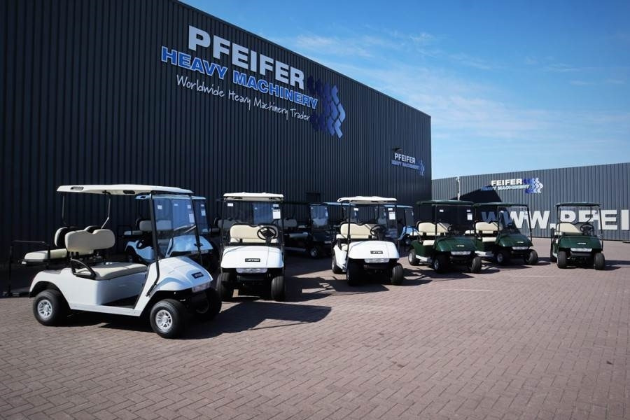BRINGO DG-C2 Valid Inspection, *Guarantee! Dutch R - Golf cart: picture 1 BRINGO DG-C2 Valid Inspection, *Guarantee! Dutch R - Golf cart: picture 1
