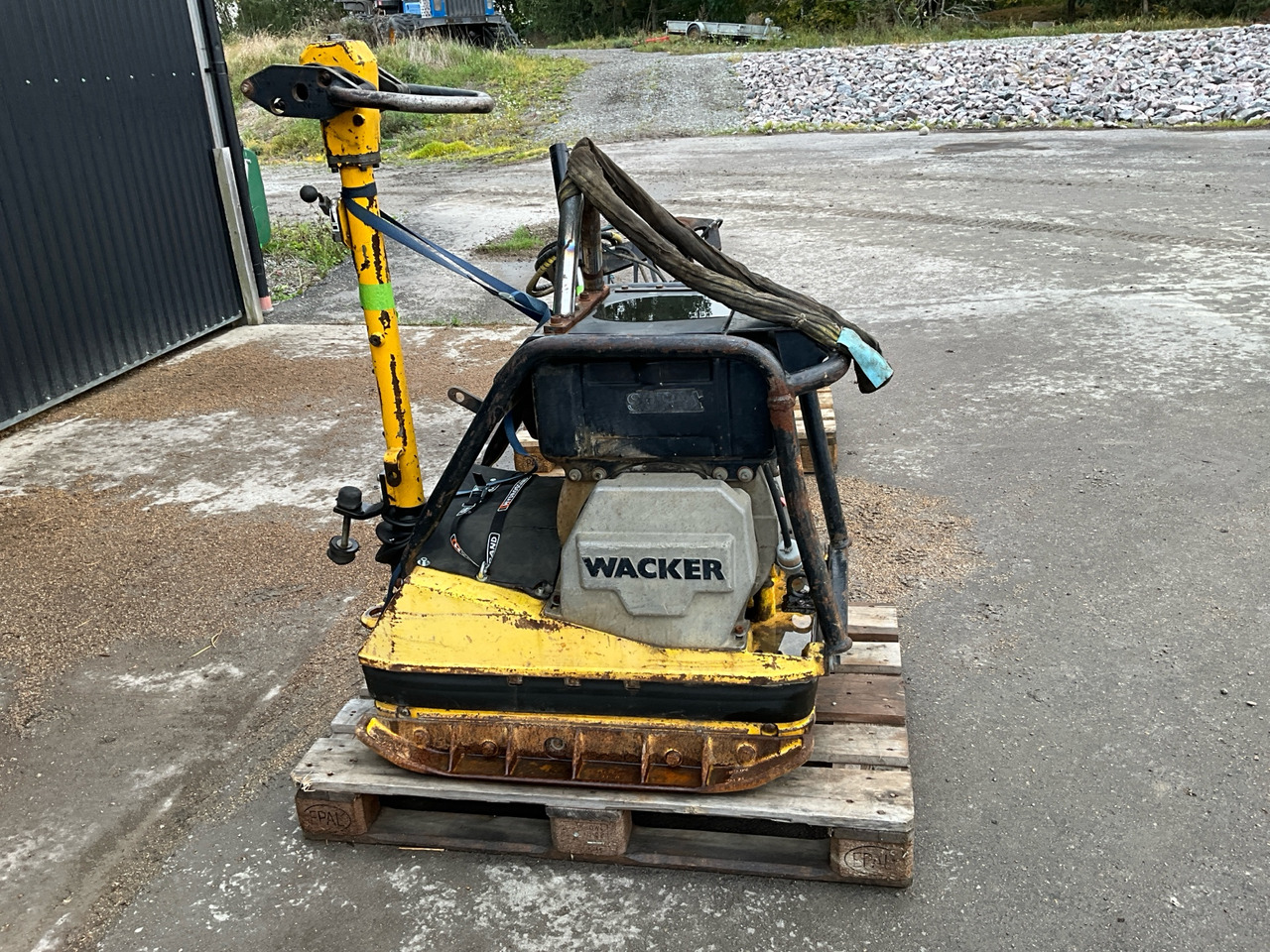 Wacker DPU 6055 - Vibratory plate: picture 1 Wacker DPU 6055 - Vibratory plate: picture 1