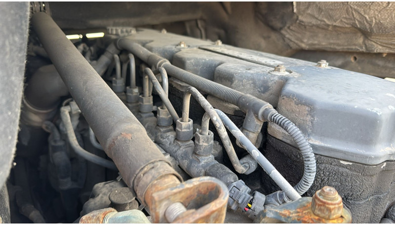 Cab chassis truck DAF 55 LF 250 (MANUAL GEARBOX / BOITE MANUELLE): picture 19