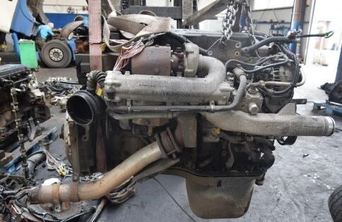 MAN D0836LFL54 MAN TGL TGM truck - Engine for Truck: picture 1 MAN D0836LFL54 MAN TGL TGM truck - Engine for Truck: picture 1