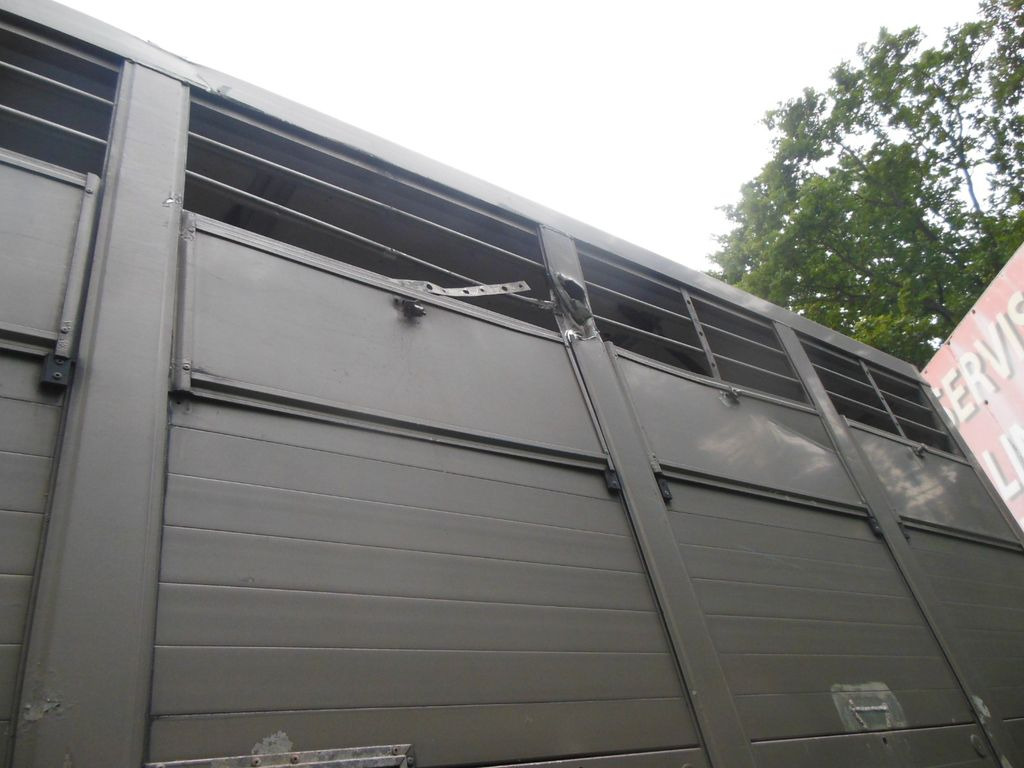 Livestock truck DAF XF 106.460, MENKE-JANZEN, UNFALL-FAHRBAR!!: picture 8