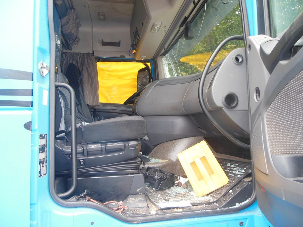 Livestock truck DAF XF 106.460, MENKE-JANZEN, UNFALL-FAHRBAR!!: picture 29
