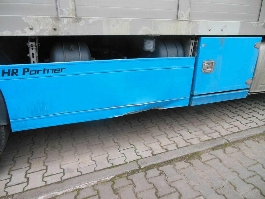 Livestock truck DAF XF 106.460, MENKE-JANZEN, UNFALL-FAHRBAR!!: picture 13