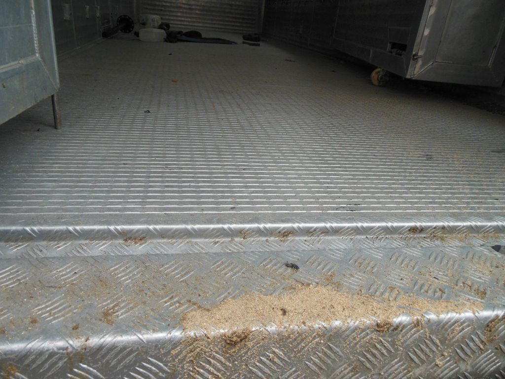 Livestock truck DAF XF 106.460, MENKE-JANZEN, UNFALL-FAHRBAR!!: picture 18