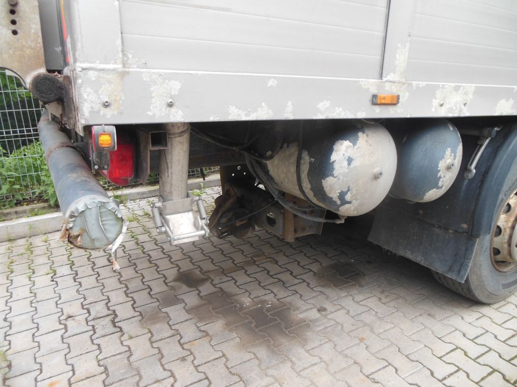 Livestock truck DAF XF 106.460, MENKE-JANZEN, UNFALL-FAHRBAR!!: picture 12