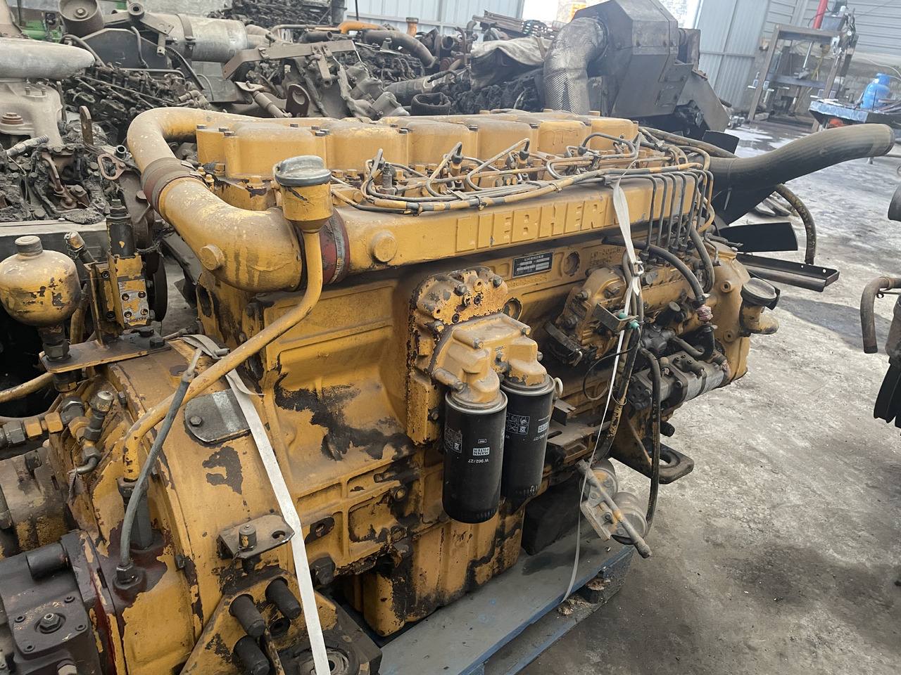Liebherr D906TB - silnik kompletny - Engine: picture 1 Liebherr D906TB - silnik kompletny - Engine: picture 1