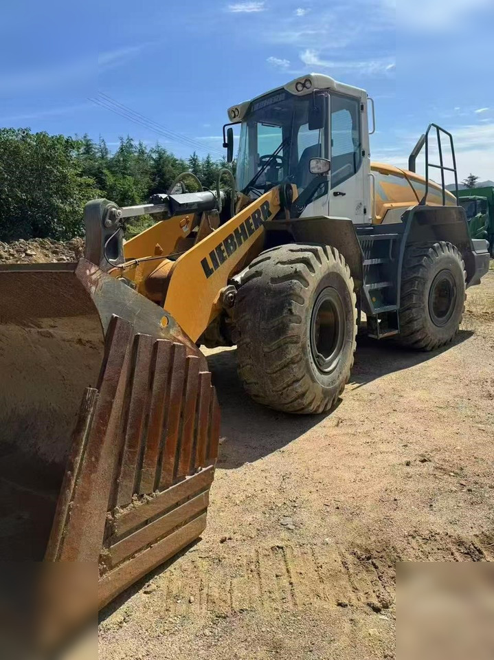 2020 LIEBHERR L550 - Wheel loader: picture 1 2020 LIEBHERR L550 - Wheel loader: picture 1