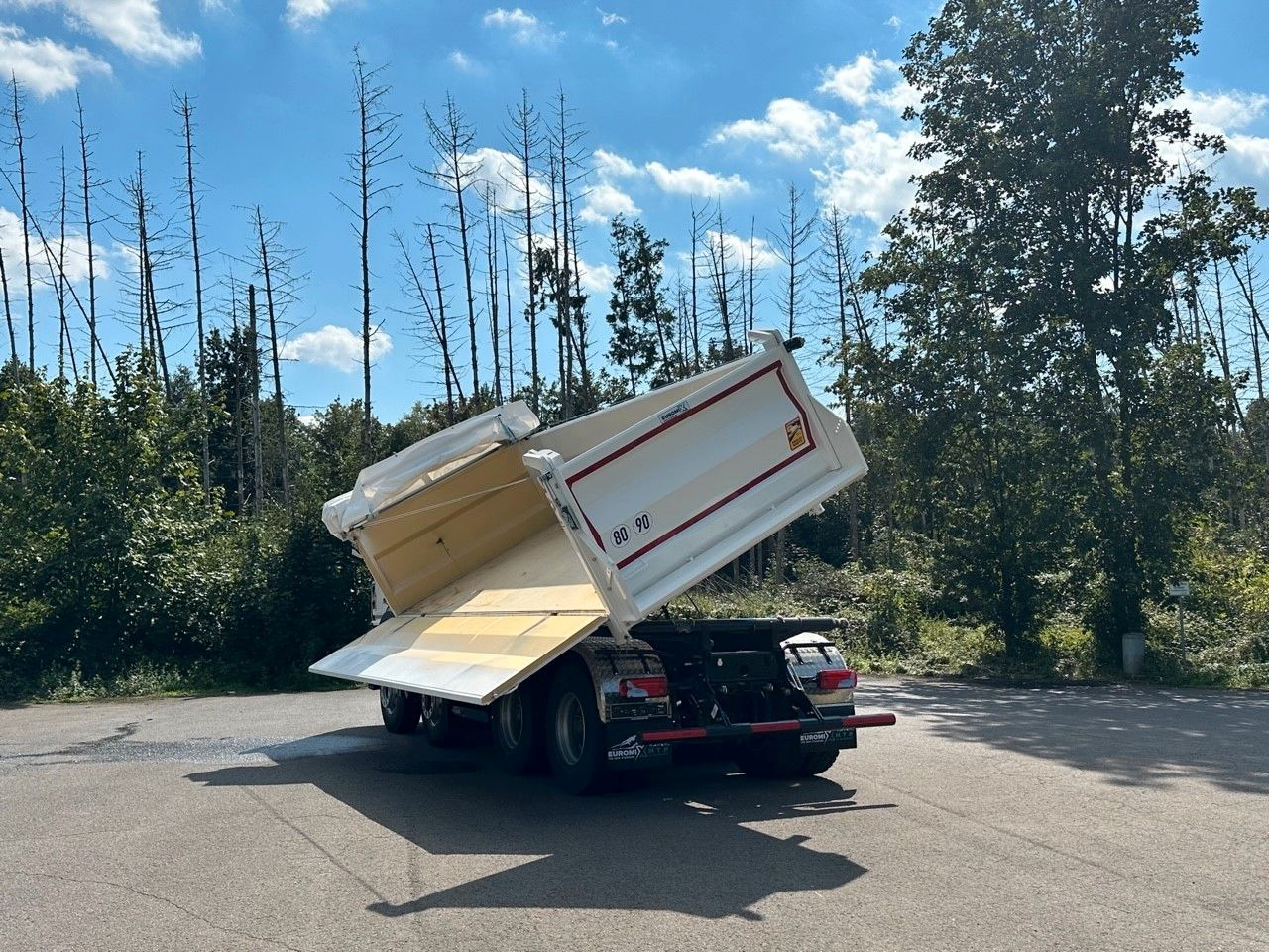 Tipper MAN TGS 41.440  8x4 EuromixMTP 3-Seiten-Kipper: picture 19