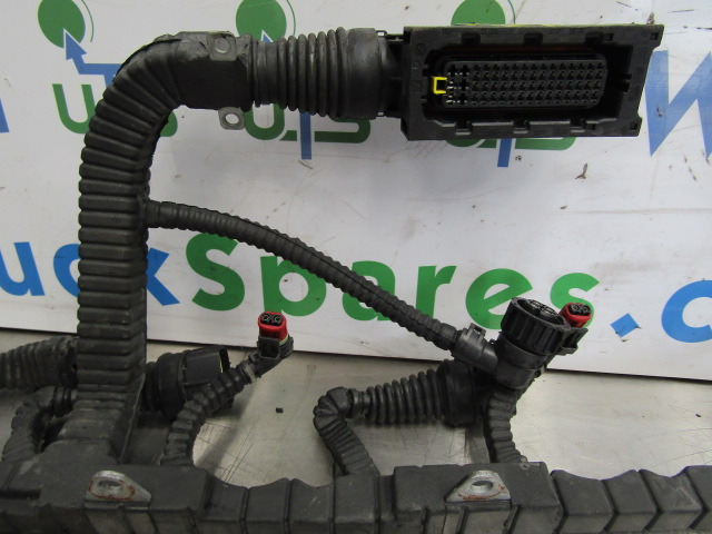 DAF XF 105 PACCAR INJECTOR/ECU HARNESS P/NO 1696501/00 - Electrical system for Truck: picture 2 DAF XF 105 PACCAR INJECTOR/ECU HARNESS P/NO 1696501/00 - Electrical system for Truck: picture 2