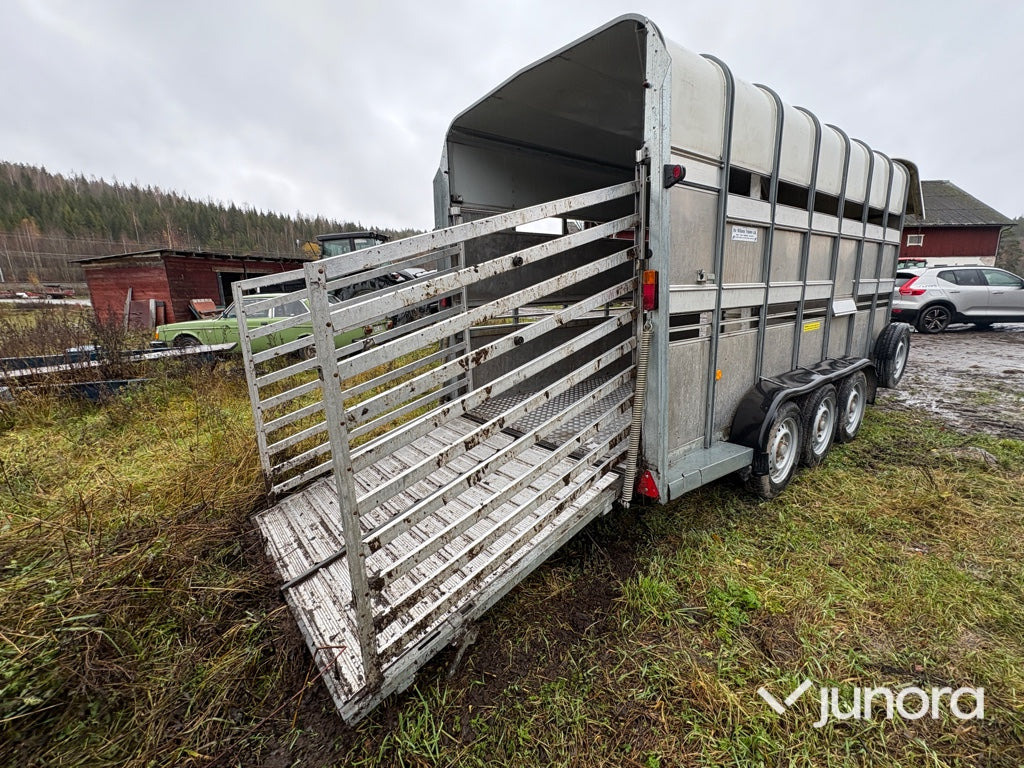 Boskapssläp - Ifor Williams - Livestock trailer: picture 1 Boskapssläp - Ifor Williams - Livestock trailer: picture 1
