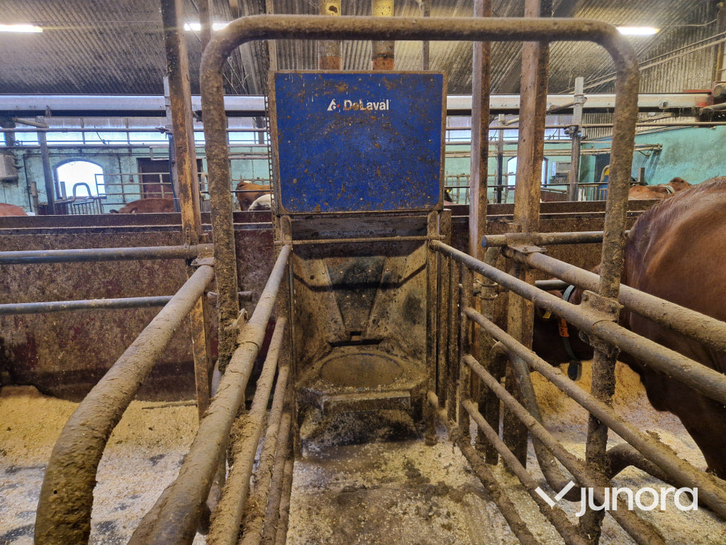 Foderstationer - Delaval, FSC40, 2st - Livestock equipment: picture 3 Foderstationer - Delaval, FSC40, 2st - Livestock equipment: picture 3