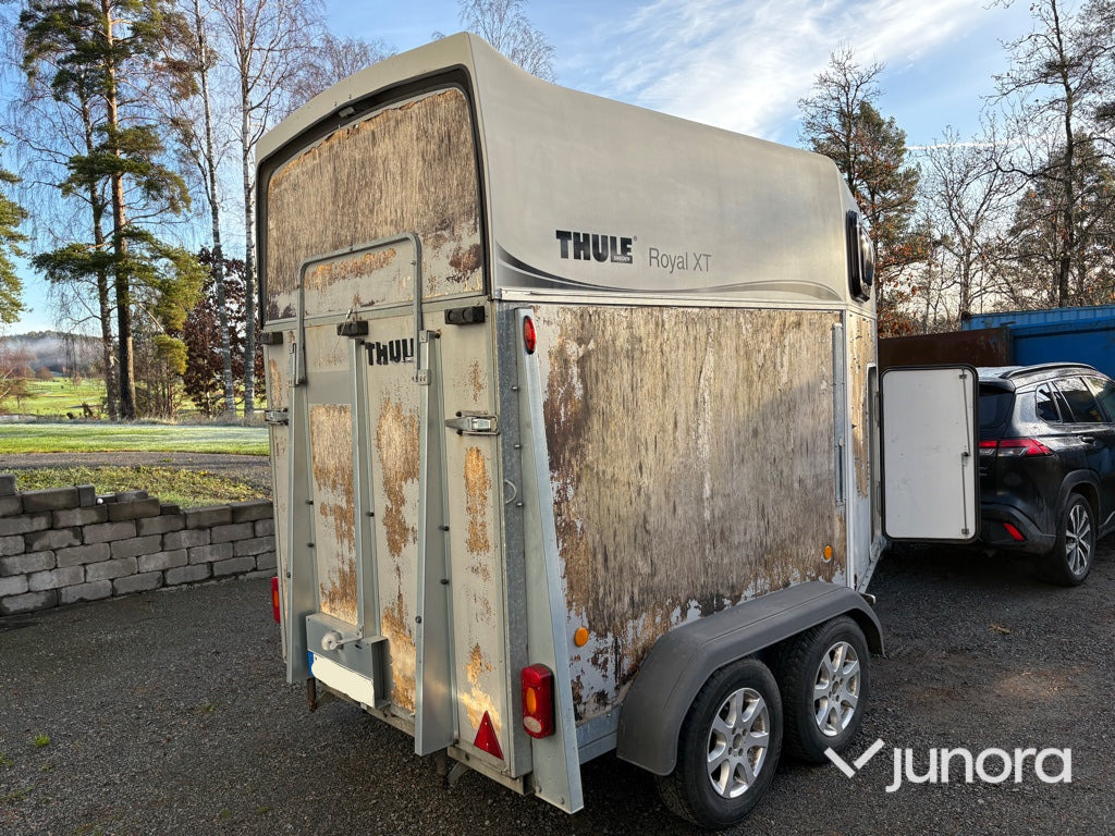 Hästtransport - Thule 150 E5 - Horse trailer: picture 5 Hästtransport - Thule 150 E5 - Horse trailer: picture 5