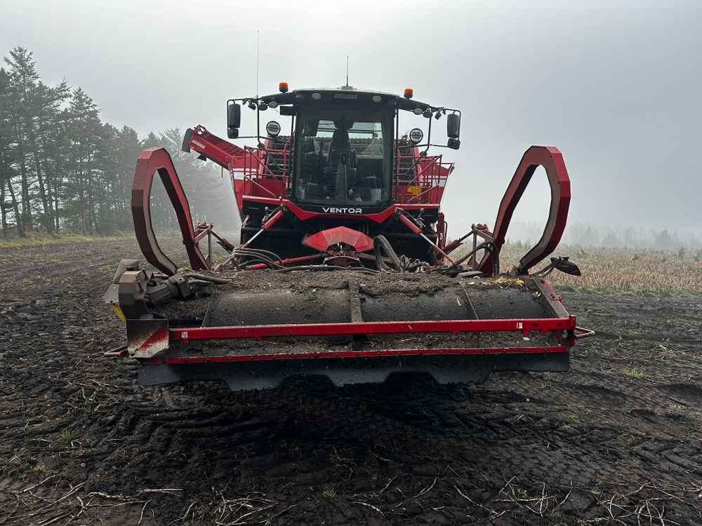 Grimme VENTOR 4150 ClodSep - Harvester: picture 4 Grimme VENTOR 4150 ClodSep - Harvester: picture 4