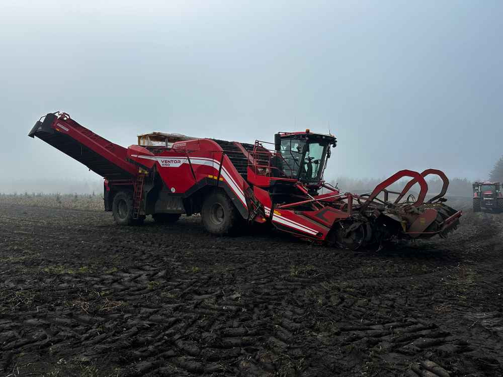 Grimme VENTOR 4150 ClodSep - Harvester: picture 5 Grimme VENTOR 4150 ClodSep - Harvester: picture 5